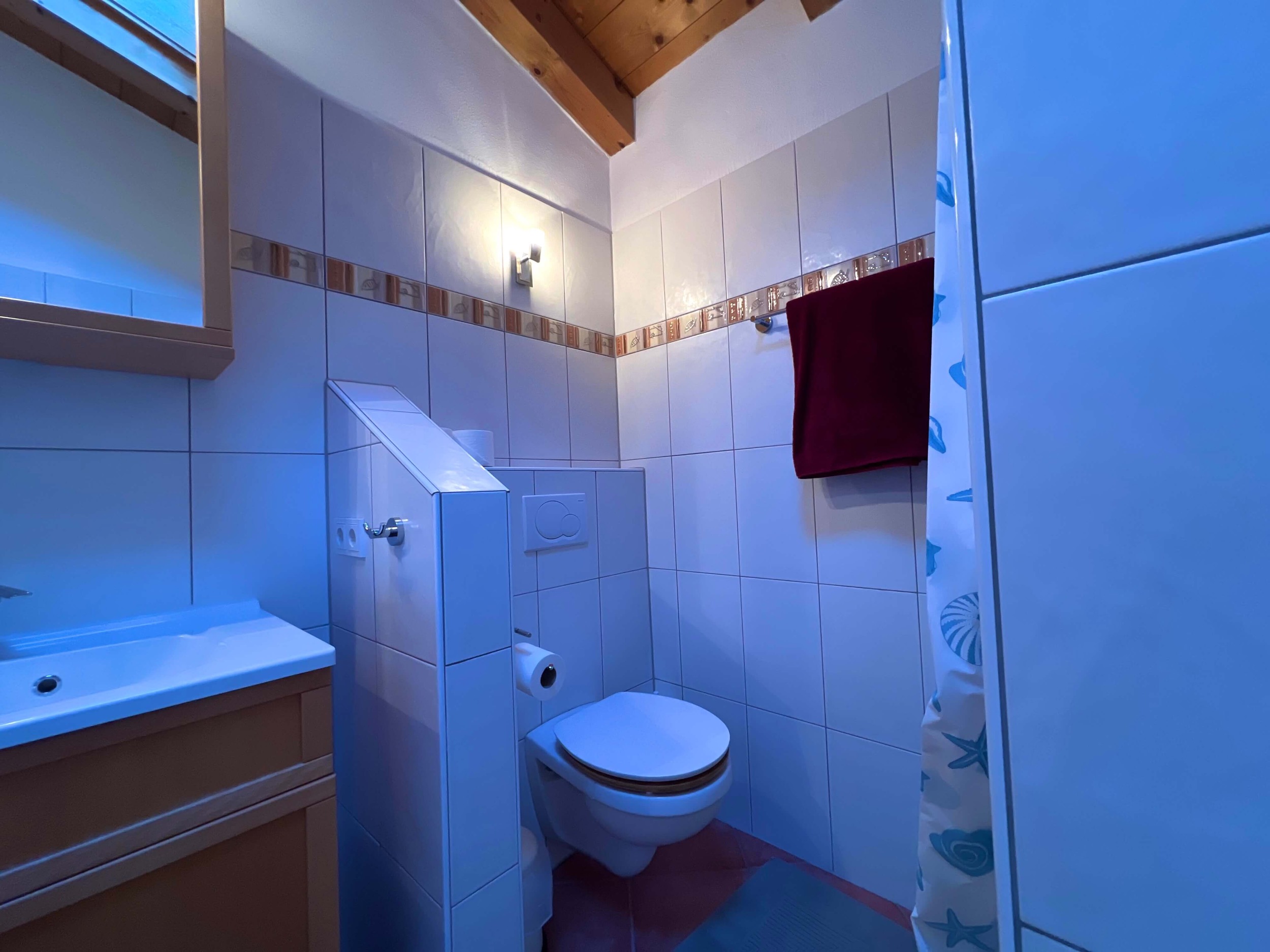 Bad Toilette Ferienhaus Aurach Kitzbuehl Kaiserblick 53
